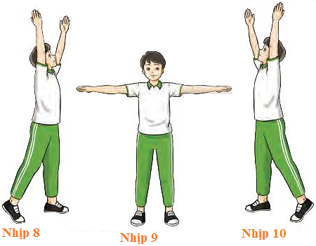 Em hãy sử dụng bài tập thể dục liên hoàn từ nhịp 1 – 10 để tập thể dục buổi sáng (ảnh 3)