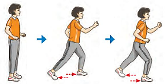 Em hãy sử dụng các bài tập bổ trợ để rèn luyện kĩ năng di chuyển (ảnh 2)
