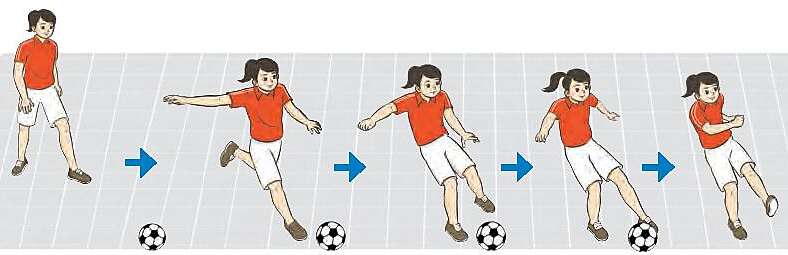  Em hãy luyện tập đá bóng bằng mu trong bàn chân trúng vật chuẩn (ảnh 1)