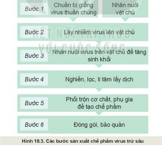 Câu hỏi trang 91 Công nghệ 10 Kết nối tri thức (ảnh 1)