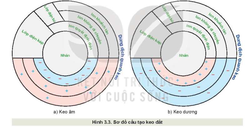 Câu hỏi trang 21 Công nghệ 10 Kết nối tri thức (ảnh 1)