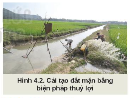 Công nghệ 10 Bài 4: Sử dụng, cải tạo và bảo vệ đất trồng | Kết nối tri thức (ảnh 2)