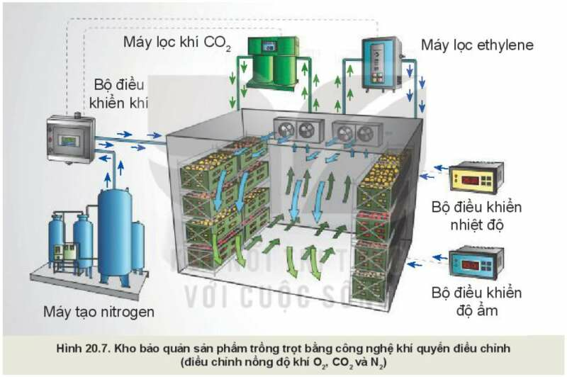 Công nghệ 10 Bài 20: Công nghệ cao trong thu hoạch và bảo quản sản phẩm trồng trọt| Kết nối tri thức (ảnh 2)