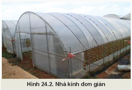 Câu hỏi trang 119 Công nghệ 10 Kết nối tri thức (ảnh 2)