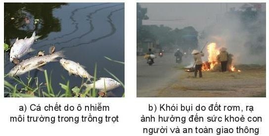 Câu hỏi 1 trang 135 Công nghệ 10 Kết nối tri thức (ảnh 1)