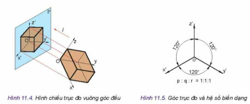 Công nghệ 10 Bài 11: Hình chiếu trục đo | Kết nối tri thức (ảnh 2)