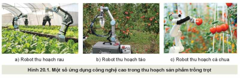 Công nghệ 10 Bài 20: Công nghệ cao trong thu hoạch và bảo quản sản phẩm trồng trọt| Kết nối tri thức (ảnh 6)