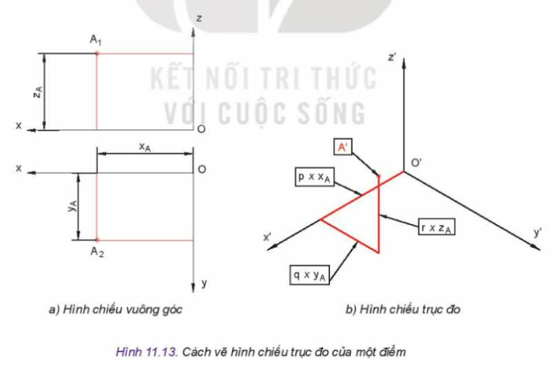 Công nghệ 10 Bài 11: Hình chiếu trục đo | Kết nối tri thức (ảnh 6)