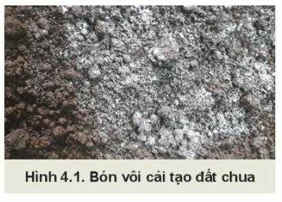 Công nghệ 10 Bài 4: Sử dụng, cải tạo và bảo vệ đất trồng | Kết nối tri thức (ảnh 3)