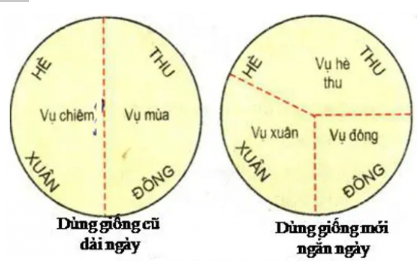 Kết nối năng lực trang 59 Công nghệ 10 Kết nối tri thức (ảnh 2)