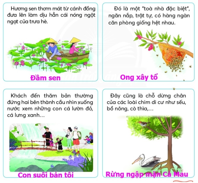 Ôn tập 2 trang 75, 76 Tiếng Việt lớp 2 - Chân trời sáng tạo (ảnh 2)