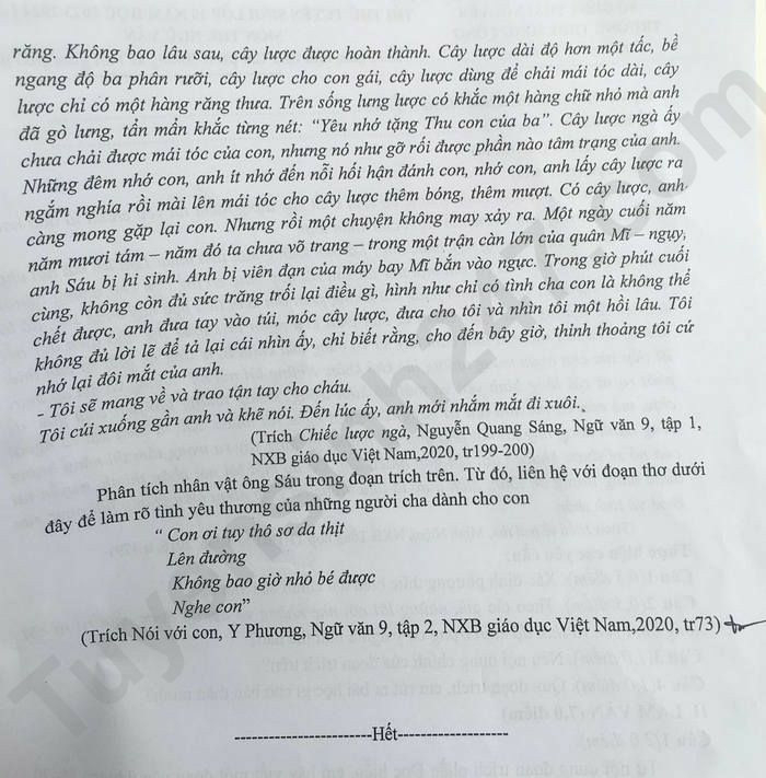 Đề thi thử vào 10 môn Ngữ văn năm 2023 trường THPT Sông Công (Thái Nguyên) (có đáp án) (ảnh 2)