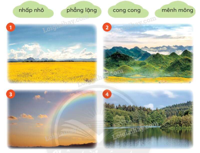 Từ chỉ đặc điểm Câu kiểu Ai thế nào? trang 116 Tiếng Việt lớp 2 - Chân trời sáng tạo (ảnh 1)