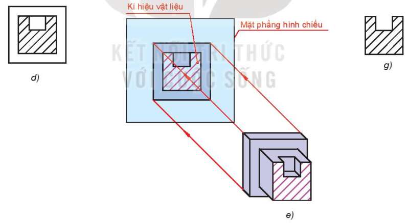 Câu hỏi 1 trang 58 Công nghệ 10 Kết nối tri thức (ảnh 2)