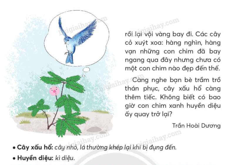 Cây nhút nhát trang 114, 115 Tiếng Việt lớp 2 - Chân trời sáng tạo (ảnh 2)