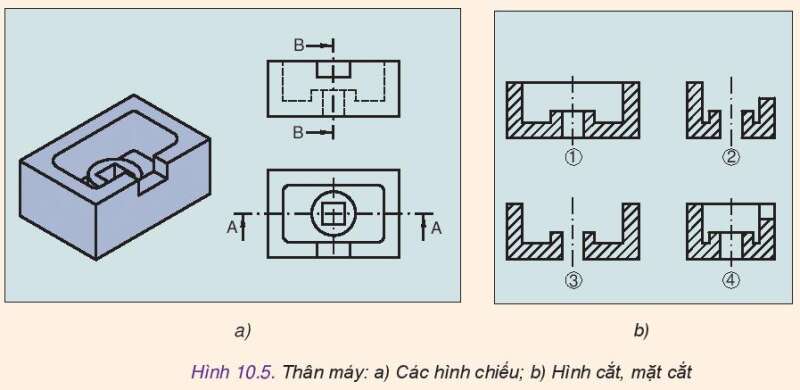 Luyện tập trang 59 Công nghệ 10 Kết nối tri thức (ảnh 1)