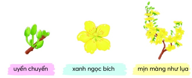 Hoa mai vàng trang 53, 54 Tiếng Việt lớp 2 - Chân trời sáng tạo (ảnh 3)