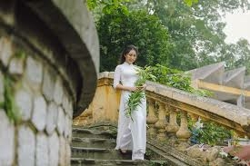 Top 50 bài văn mẫu Viết bài tập làm văn số 3:Thuyết minh về chiếc áo dài truyền thống của người phụ nữ Việt Nam. (ảnh 3)
