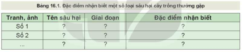 Công nghệ 10 Bài 16: Một số sâu hại cây trồng thường gặp và biện pháp phòng trừ | Kết nối tri thức (ảnh 1)