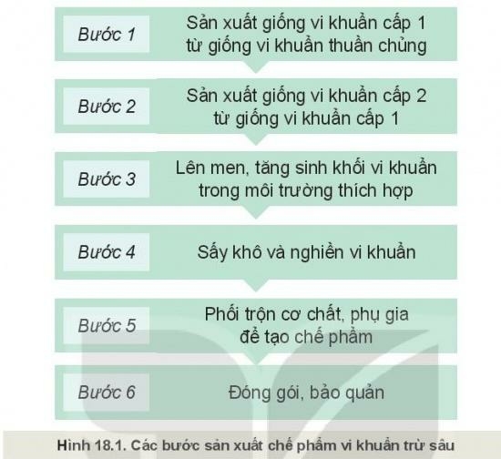 Câu hỏi trang 90 Công nghệ 10 Kết nối tri thức (ảnh 1)