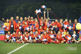 TOP 10 mẫu Tóm tắt Điều gì giúp bóng đá Việt Nam chiến thắng hay, ngắn gọn (Cánh Diều 2023) (ảnh 3)