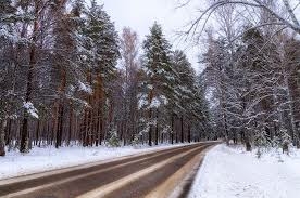 TOP 10 mẫu Tóm tắt Con đường mùa đông hay, ngắn gọn (Kết nối tri thức 2023) (ảnh 2)