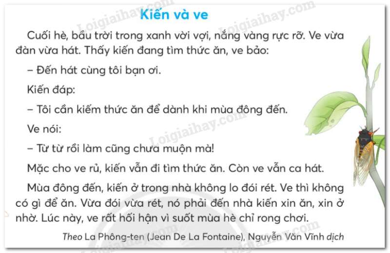 Đánh giá cuối học kì 2 trang 143, 144, 145, 146 Tiếng Việt lớp 2 - Chân trời sáng tạo (ảnh 4)