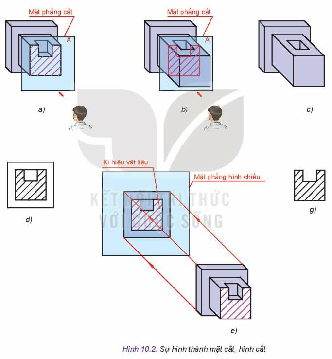 Công nghệ 10 Bài 10: Hình cắt và mặt cắt | Kết nối tri thức (ảnh 9)