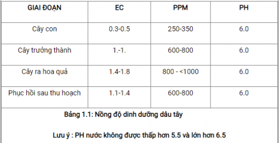 Kết nối năng lực trang 128 Công nghệ 10 Kết nối tri thức (ảnh 1)