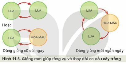 Câu hỏi trang 59 Công nghệ 10 Kết nối tri thức (ảnh 1)