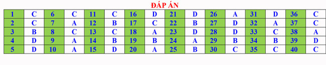 Đề thi thử THPT Quốc gia môn Vật lí năm 2023 Trường THPT Hàn Thuyên (Bắc Ninh) (Có đáp án) (ảnh 5)