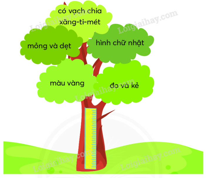 Luyện tập giới thiệu đồ vật quen thuộc (tiếp theo) trang 104, 105 Tiếng Việt lớp 2 - Chân trời sáng tạo (ảnh 3)