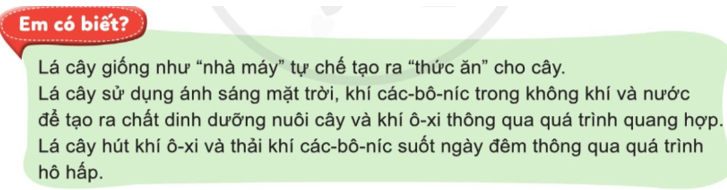 Tự nhiên và Xã hội lớp 3 trang 68 Quan sát - Cánh Diều (ảnh 2)