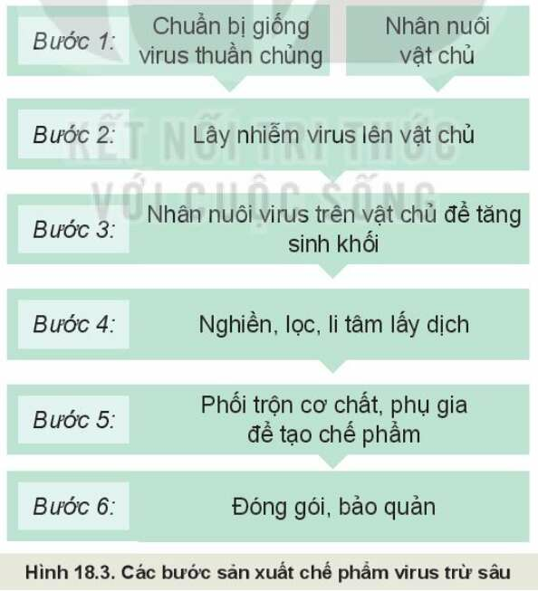 Công nghệ 10 Bài 18: Ứng dụng công nghệ vi sinh trong phòng, trừ sâu bệnh hại cây trồng| Kết nối tri thức (ảnh 3)