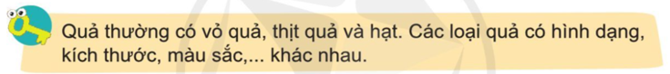 Tự nhiên và Xã hội lớp 3 trang 70 Câu hỏi - Cánh Diều (ảnh 1)