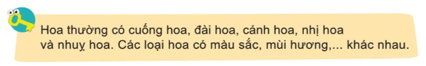 Tự nhiên và Xã hội lớp 3 trang 69 Thực hành - Cánh Diều (ảnh 1)