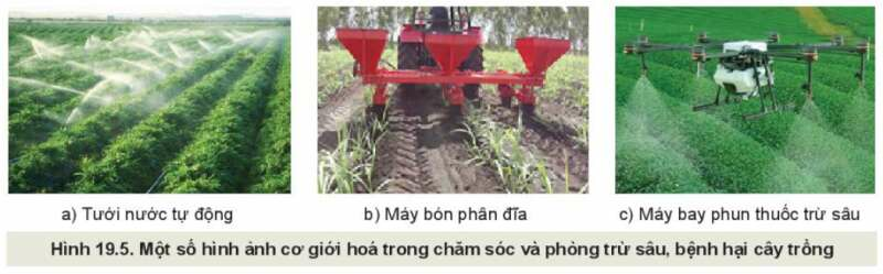 Công nghệ 10 Bài 19: Quy trình trồng trọt và cơ giới hoá trong trồng trọt | Kết nối tri thức (ảnh 5)