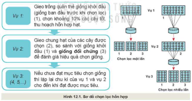 Câu hỏi trang 61 Công nghệ 10 Kết nối tri thức (ảnh 1)