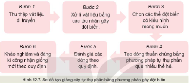 Câu hỏi trang 64 Công nghệ 10 Kết nối tri thức (ảnh 1)