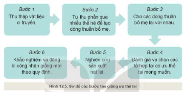 Câu hỏi trang 63 Công nghệ 10 Kết nối tri thức (ảnh 1)