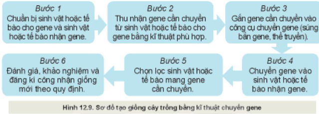 Câu hỏi trang 65 Công nghệ 10 Kết nối tri thức (ảnh 1)