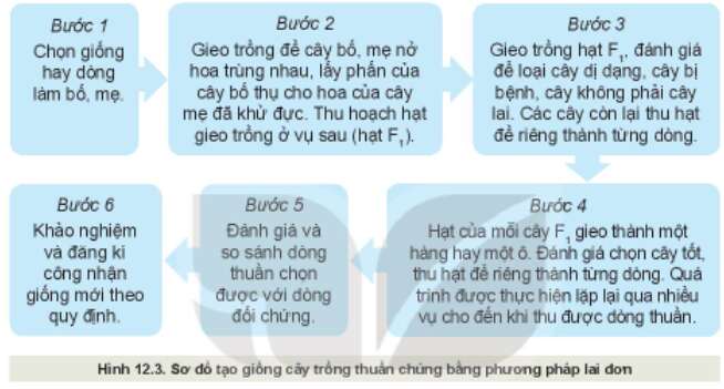 Câu hỏi trang 62 Công nghệ 10 Kết nối tri thức (ảnh 1)