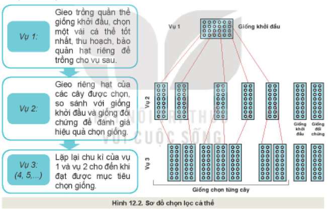 Câu hỏi trang 61 Công nghệ 10 Kết nối tri thức (ảnh 1)