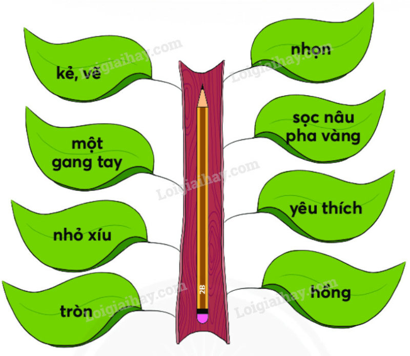 Tả đồ vật quen thuộc trang 120, 121 Tiếng Việt lớp 2 - Chân trời sáng tạo (ảnh 4)