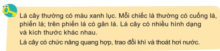 Tự nhiên và Xã hội lớp 3 trang 68 Câu hỏi - Cánh Diều (ảnh 1)