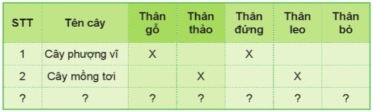 Tự nhiên và Xã hội lớp 3 trang 65 Thực hành - Cánh Diều (ảnh 1)