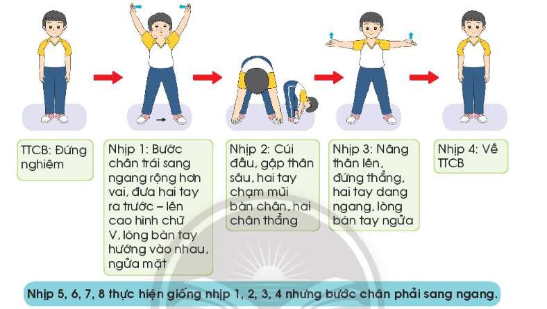 Giáo dục thể chất lớp 3 trang 31 Kiến thức mới - Chân trời sáng tạo (ảnh 1)