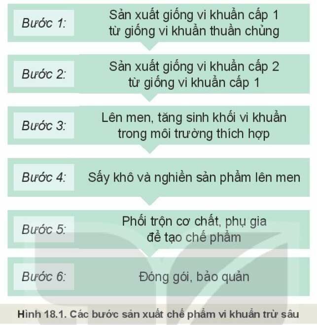 Công nghệ 10 Bài 18: Ứng dụng công nghệ vi sinh trong phòng, trừ sâu bệnh hại cây trồng| Kết nối tri thức (ảnh 4)