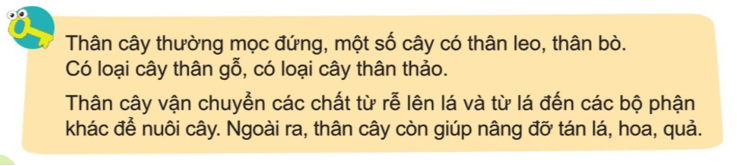 Tự nhiên và Xã hội lớp 3 trang 66 Câu hỏi - Cánh Diều (ảnh 1)