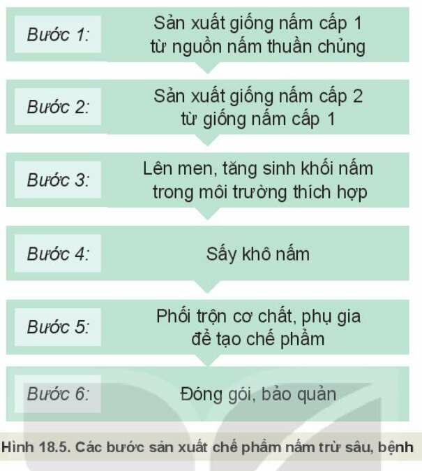 Công nghệ 10 Bài 18: Ứng dụng công nghệ vi sinh trong phòng, trừ sâu bệnh hại cây trồng| Kết nối tri thức (ảnh 1)